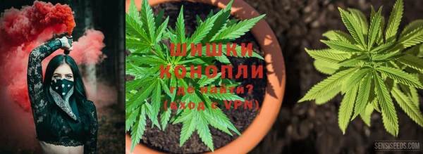 прущая мука Вязьма